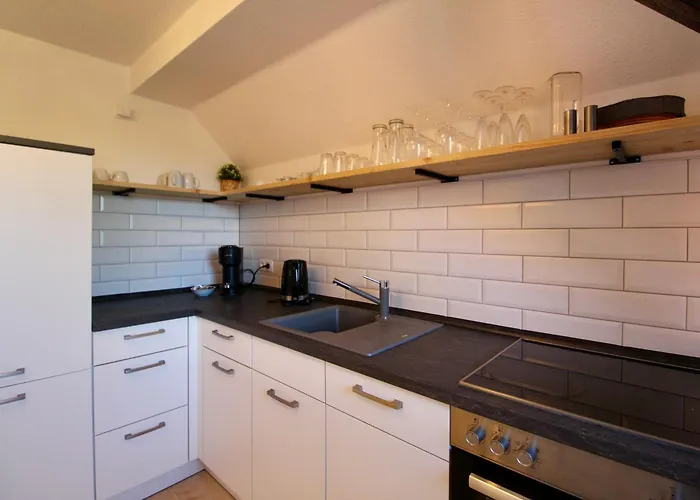 Patama - & Im Leipziger Neuseenland Zwischen Cospudner, Zwenkauer Und Markkleeberger See, Im Sueden Von Leipzig * Grossdeuben